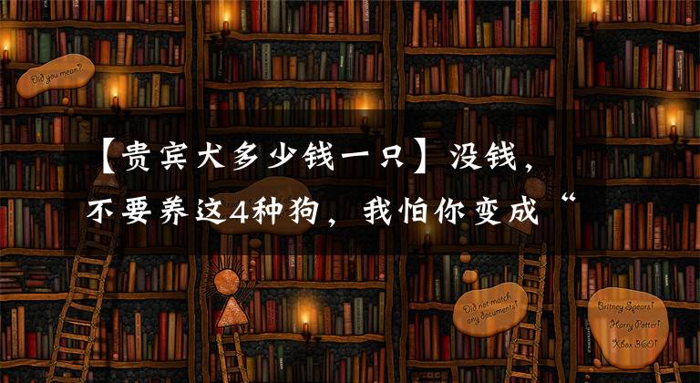 【貴賓犬多少錢一只】沒錢，不要養(yǎng)這4種狗，我怕你變成“月光族”