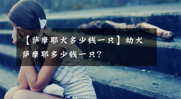 【薩摩耶犬多少錢一只】幼犬薩摩耶多少錢一只？