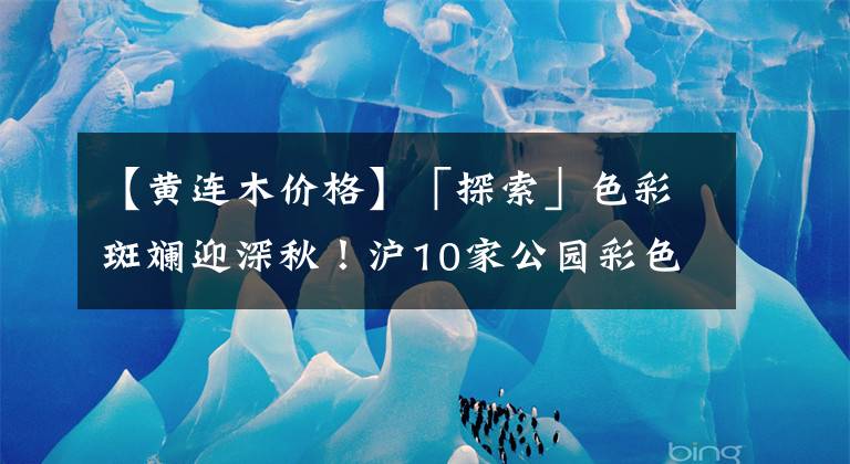 【黃連木價(jià)格】「探索」色彩斑斕迎深秋！滬10家公園彩色葉植物等你來(lái)看