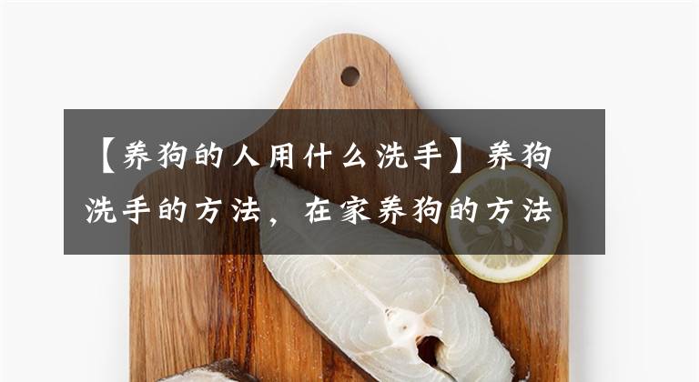 【養(yǎng)狗的人用什么洗手】養(yǎng)狗洗手的方法，在家養(yǎng)狗的方法