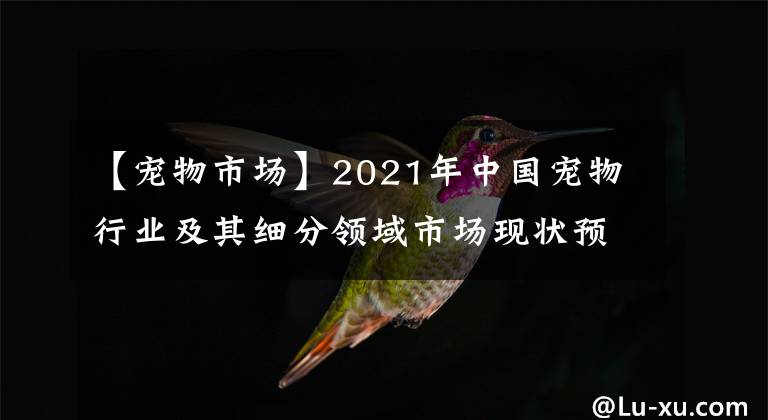 【寵物市場(chǎng)】2021年中國(guó)寵物行業(yè)及其細(xì)分領(lǐng)域市場(chǎng)現(xiàn)狀預(yù)測(cè)分析