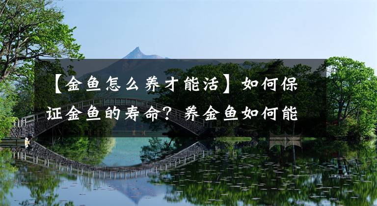 【金魚怎么養(yǎng)才能活】如何保證金魚的壽命？養(yǎng)金魚如何能讓壽命延長？該怎么養(yǎng)？