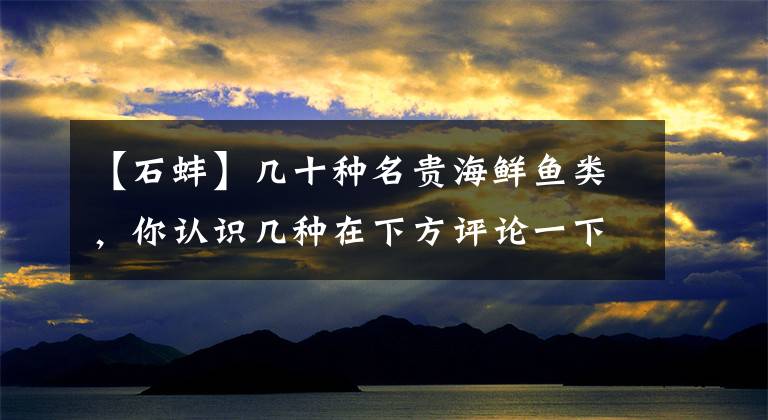 【石蚌】幾十種名貴海鮮魚類，你認(rèn)識(shí)幾種在下方評(píng)論一下吧