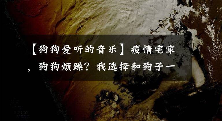 【狗狗愛聽的音樂】疫情宅家，狗狗煩躁？我選擇和狗子一起搖擺