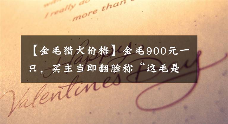 【金毛獵犬價格】金毛900元一只，買主當(dāng)即翻臉稱“這毛是黑的，最多600！”