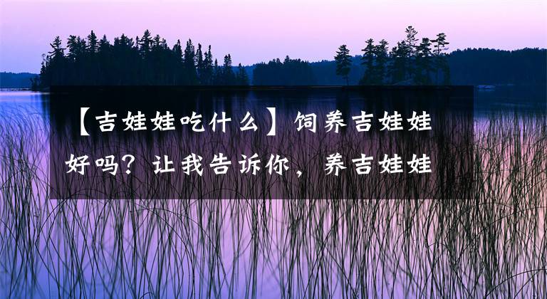 【吉娃娃吃什么】飼養(yǎng)吉娃娃好嗎？讓我告訴你，養(yǎng)吉娃娃的好處