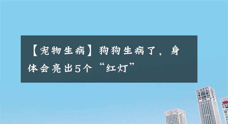 【寵物生病】狗狗生病了，身體會亮出5個“紅燈”