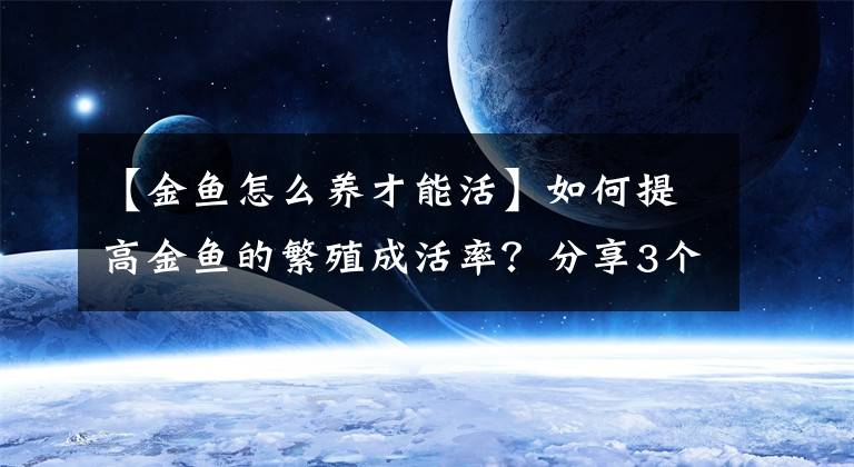 【金魚怎么養(yǎng)才能活】如何提高金魚的繁殖成活率？分享3個(gè)關(guān)鍵點(diǎn)，助你成功繁殖出小魚