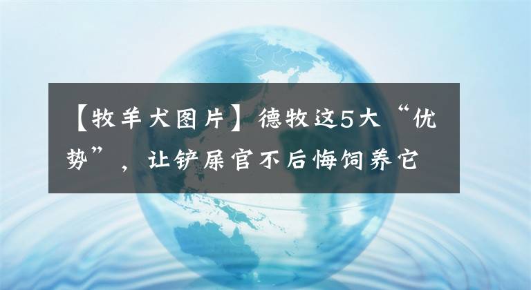 【牧羊犬圖片】德牧這5大“優(yōu)勢”，讓鏟屎官不后悔飼養(yǎng)它