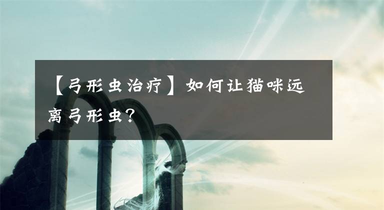 【弓形蟲治療】如何讓貓咪遠(yuǎn)離弓形蟲？