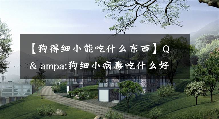 【狗得細(xì)小能吃什么東西】Q & ampa:狗細(xì)小病毒吃什么好？