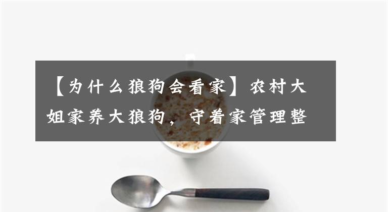 【為什么狼狗會(huì)看家】農(nóng)村大姐家養(yǎng)大狼狗，守著家管理整個(gè)村子，據(jù)說是公信犬，這是怎么回事？