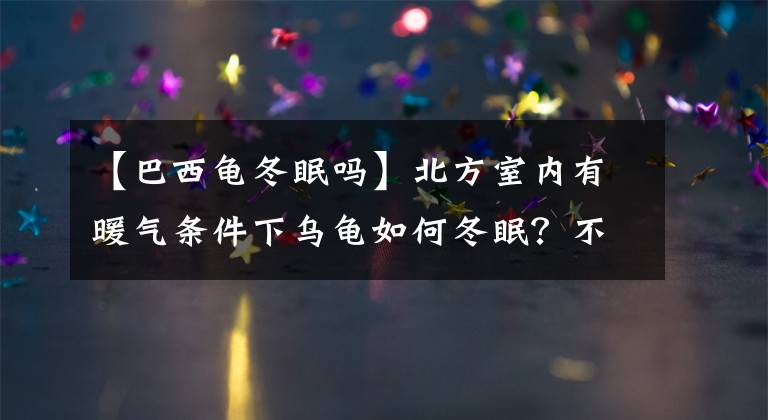 【巴西龜冬眠嗎】北方室內有暖氣條件下烏龜如何冬眠？不冬眠真的會對烏龜有害嗎？