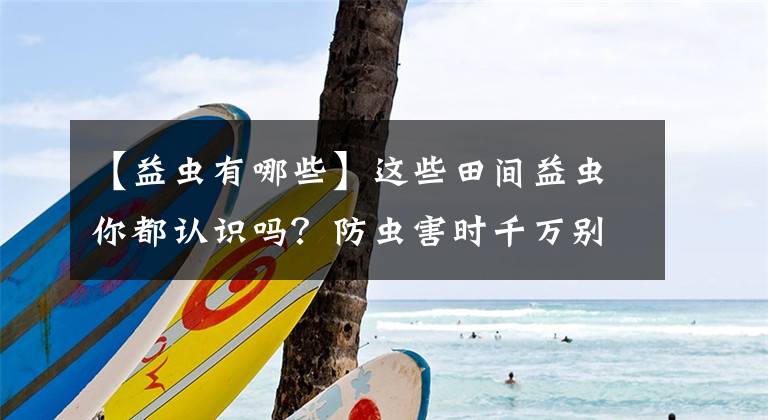 【益蟲有哪些】這些田間益蟲你都認識嗎？防蟲害時千萬別錯殺了“友軍”！（內(nèi)附高清圖）