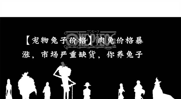 【寵物兔子價格】肉兔價格暴漲，市場嚴(yán)重缺貨，你養(yǎng)兔子了嗎？