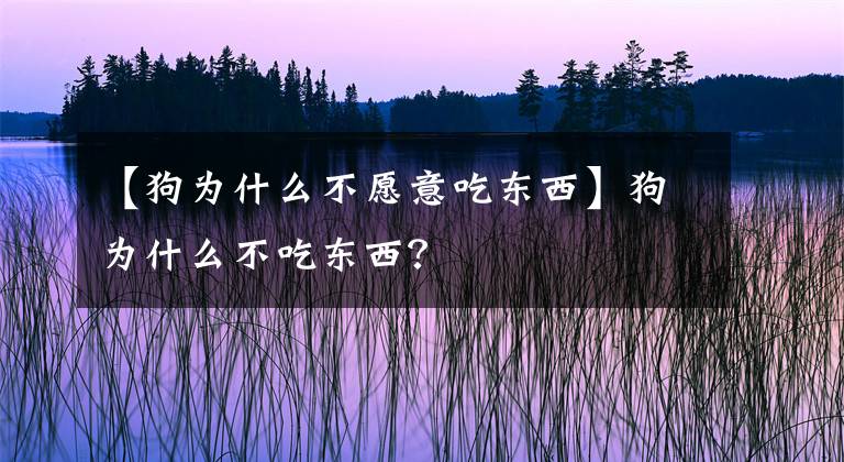 【狗為什么不愿意吃東西】狗為什么不吃東西？