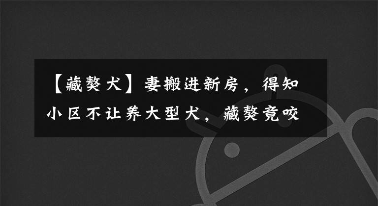 【藏獒犬】妻搬進新房，得知小區(qū)不讓養(yǎng)大型犬，藏獒竟咬舌自盡！催淚片