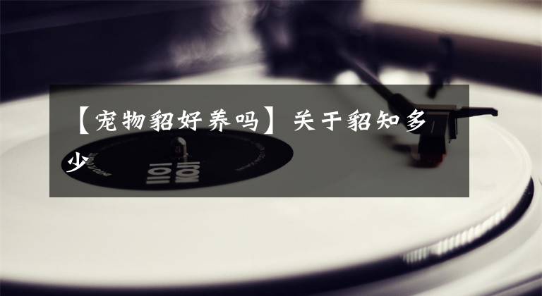 【寵物貂好養(yǎng)嗎】關(guān)于貂知多少