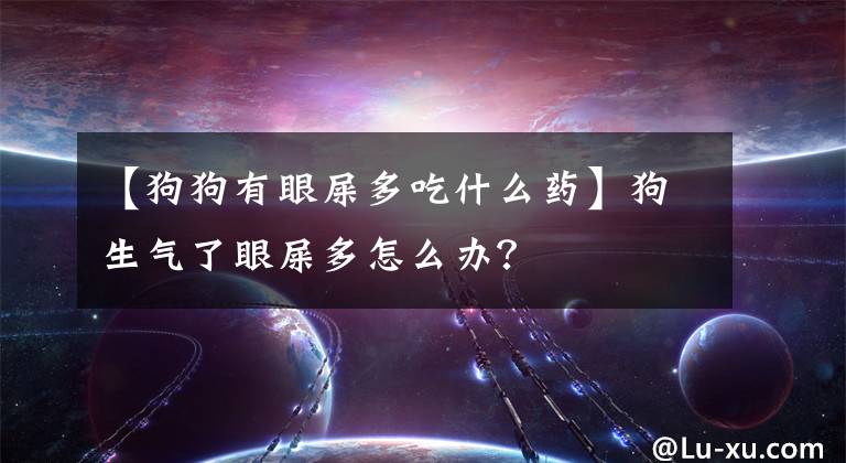 【狗狗有眼屎多吃什么藥】狗生氣了眼屎多怎么辦？