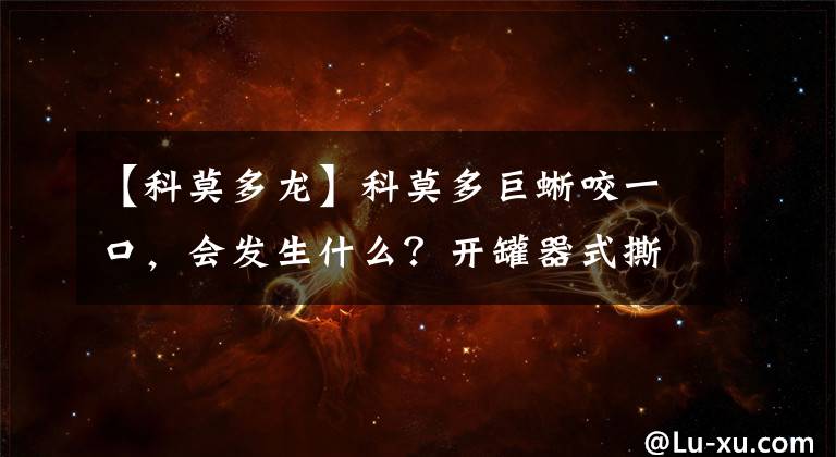 【科莫多龍】科莫多巨蜥咬一口，會(huì)發(fā)生什么？開罐器式撕咬，致命毒素雙管齊下