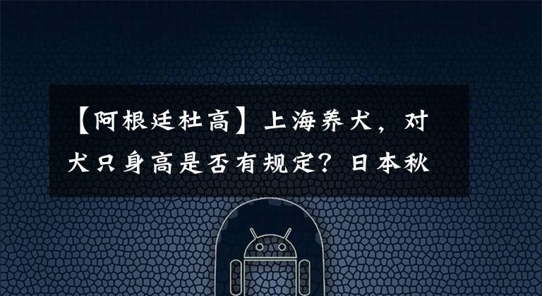 【阿根廷杜高】上海養(yǎng)犬，對犬只身高是否有規(guī)定？日本秋田犬是烈性犬嗎？