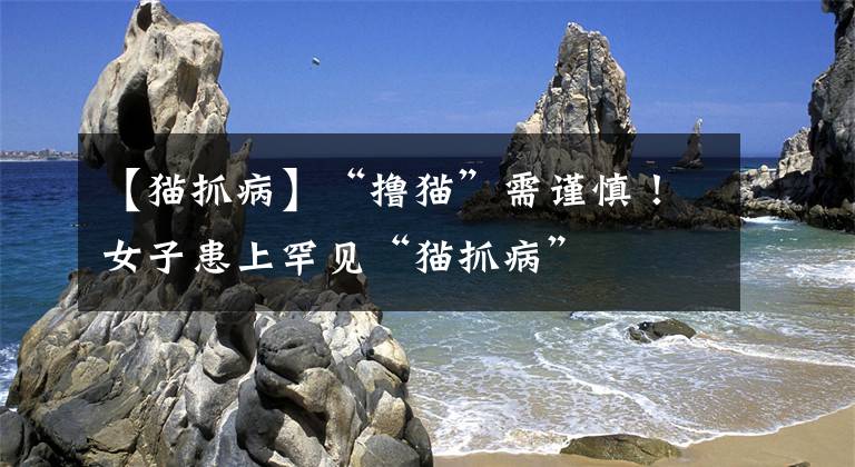 【貓抓病】“擼貓”需謹(jǐn)慎！女子患上罕見(jiàn)“貓抓病”