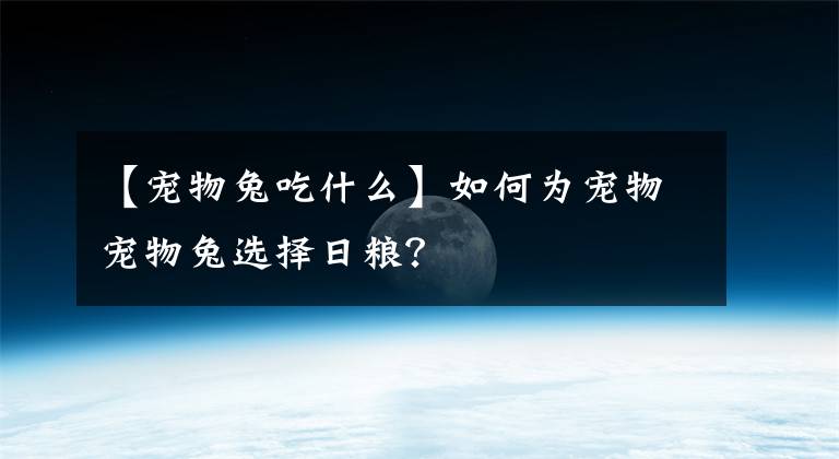 【寵物兔吃什么】如何為寵物寵物兔選擇日糧？