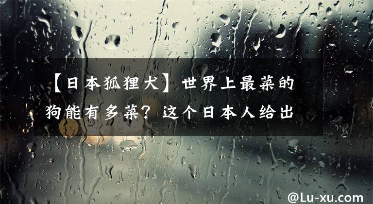 【日本狐貍?cè)渴澜缟献畈说墓纺苡卸嗖?？這個(gè)日本人給出了意想不到的答案