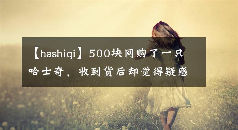 【hashiqi】500塊網(wǎng)購了一只哈士奇，收到貨后卻覺得疑惑：這是啥品種??？