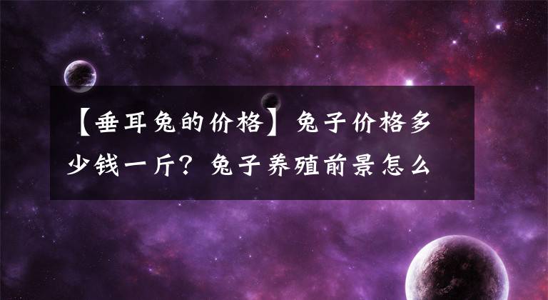 【垂耳兔的價格】兔子價格多少錢一斤？兔子養(yǎng)殖前景怎么樣？