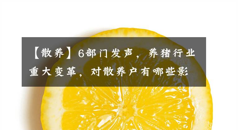 【散養(yǎng)】6部門發(fā)聲，養(yǎng)豬行業(yè)重大變革，對(duì)散養(yǎng)戶有哪些影響？看完有數(shù)了