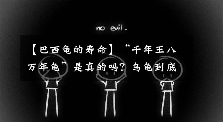 【巴西龜?shù)膲勖俊扒晖醢巳f年龜”是真的嗎？烏龜?shù)降啄芑疃嗑?？常見烏龜壽?></a></div> <div   id=