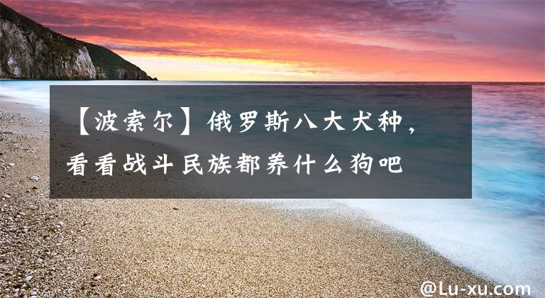 【波索爾】俄羅斯八大犬種，看看戰(zhàn)斗民族都養(yǎng)什么狗吧