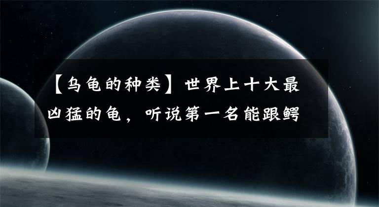 【烏龜?shù)姆N類(lèi)】世界上十大最兇猛的龜，聽(tīng)說(shuō)第一名能跟鱷魚(yú)有一拼