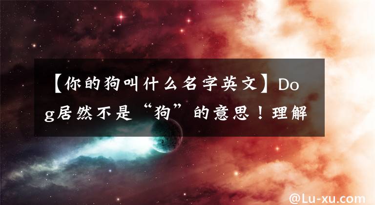 【你的狗叫什么名字英文】Dog居然不是“狗”的意思！理解錯誤就開玩笑！