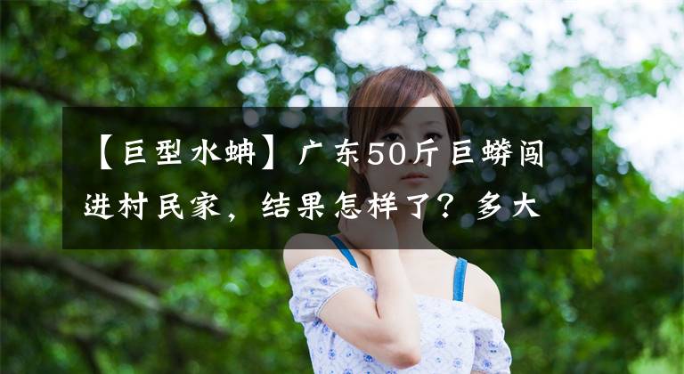 【巨型水蚺】廣東50斤巨蟒闖進(jìn)村民家，結(jié)果怎樣了？多大的蟒蛇能吞下成年人？