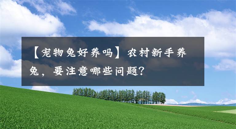 【寵物兔好養(yǎng)嗎】農(nóng)村新手養(yǎng)兔，要注意哪些問題？