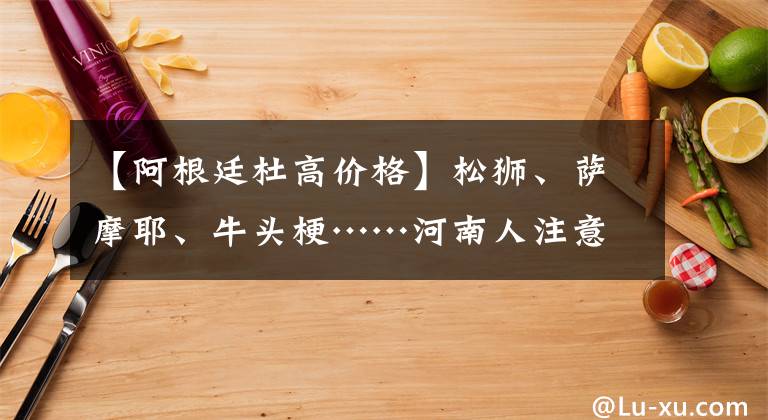 【阿根廷杜高價(jià)格】松獅、薩摩耶、牛頭?！幽先俗⒁饬?！這50種犬只或?qū)⒉荒莛B(yǎng)！