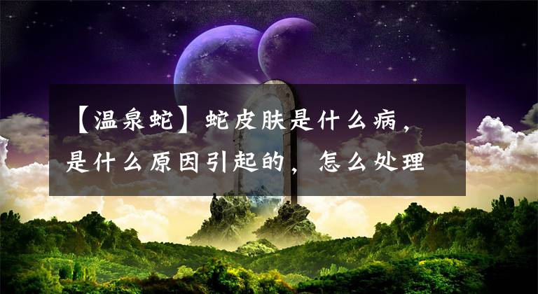 【溫泉蛇】蛇皮膚是什么病，是什么原因引起的，怎么處理