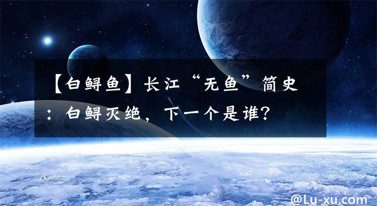 【白鱘魚】長江“無魚”簡史：白鱘滅絕，下一個是誰？