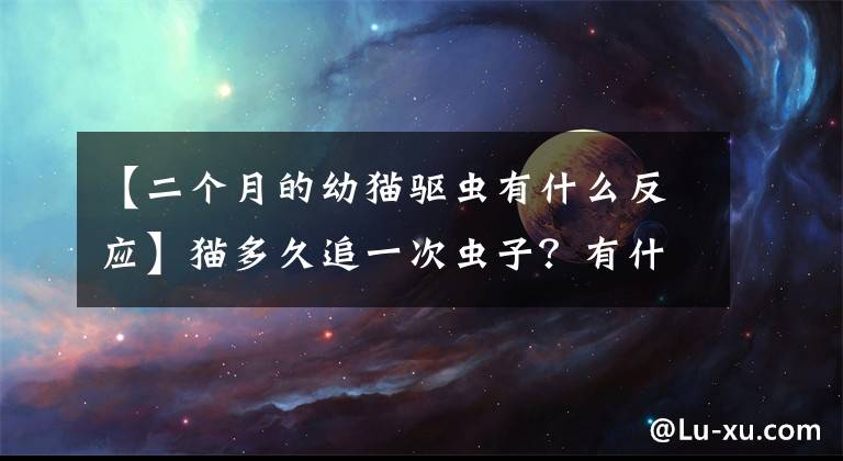 【二個(gè)月的幼貓驅(qū)蟲有什么反應(yīng)】貓多久追一次蟲子？有什么驅(qū)蟲劑推薦嗎？