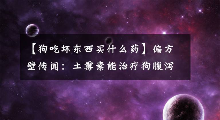 【狗吃壞東西買什么藥】偏方壁傳聞：土霉素能治療狗腹瀉嗎？提高目標(biāo)處理恢復(fù)速度