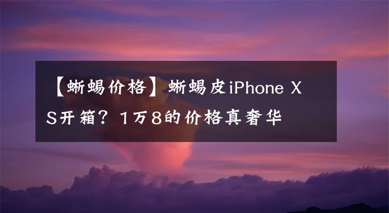 【蜥蜴價(jià)格】蜥蜴皮iPhone XS開箱？1萬(wàn)8的價(jià)格真奢華