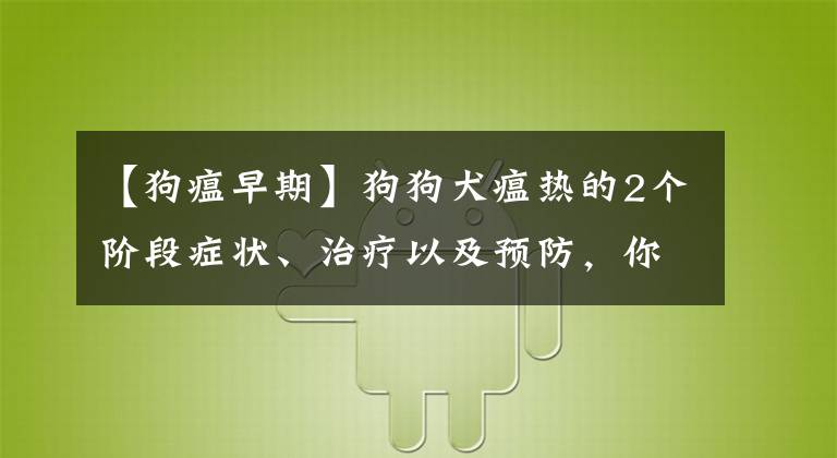 【狗瘟早期】狗狗犬瘟熱的2個(gè)階段癥狀、治療以及預(yù)防，你了解多少呢？