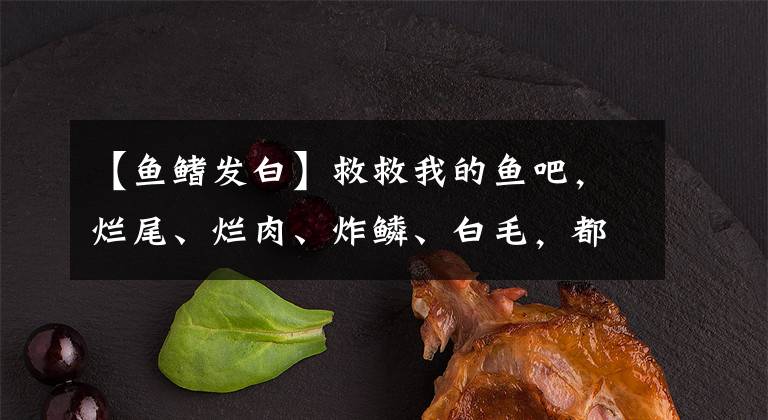 【魚鰭發(fā)白】救救我的魚吧，爛尾、爛肉、炸鱗、白毛，都占全了，怎么辦？