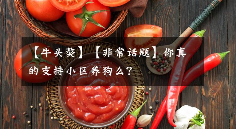 【牛頭獒】【非常話題】你真的支持小區(qū)養(yǎng)狗么？