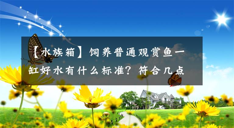 【水族箱】飼養(yǎng)普通觀賞魚一缸好水有什么標(biāo)準(zhǔn)？符合幾點就夠了，不必強求