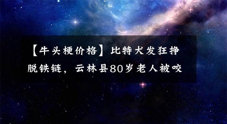 【牛頭梗價(jià)格】比特犬發(fā)狂掙脫鐵鏈，云林縣80歲老人被咬傷！比特犬有多危險(xiǎn)？