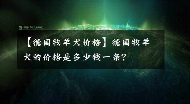 【德國牧羊犬價格】德國牧羊犬的價格是多少錢一條？