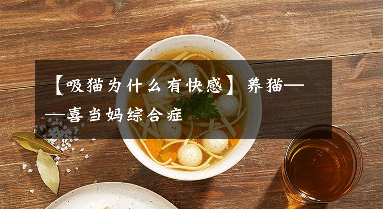 【吸貓為什么有快感】養(yǎng)貓——喜當(dāng)媽綜合癥